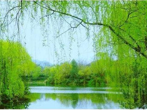 三月三怎么過(guò)？邁世帶您看三月三