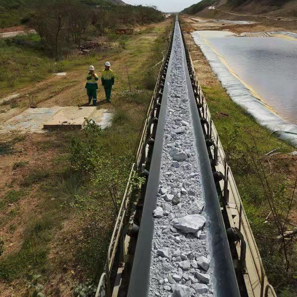 用邁世軌道巡檢機器人，海運碼頭長(cháng)距離送料巡檢實(shí)現無(wú)人化