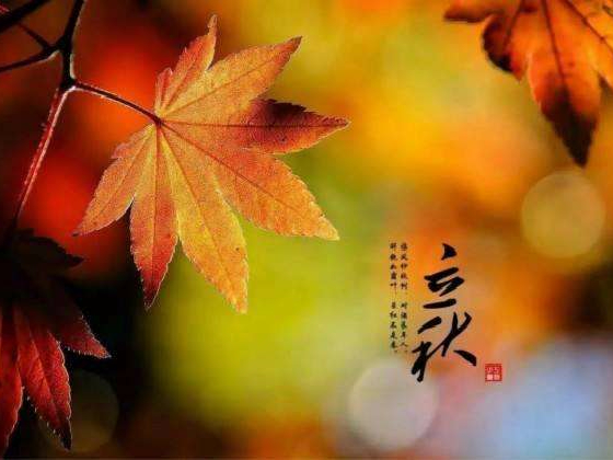 秋來(lái)了，莫慌！智慧主機依舊值得推薦的