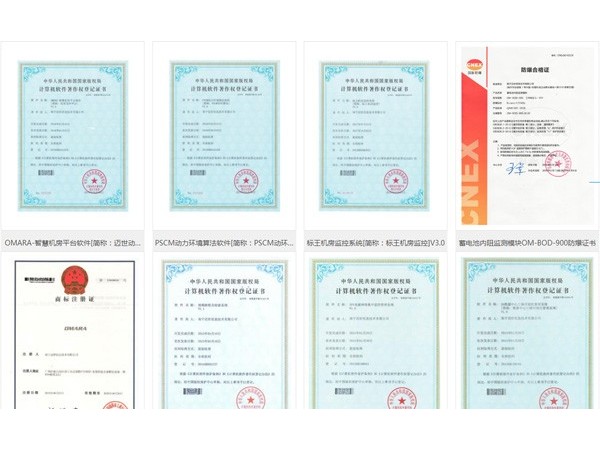 投標項目需要提供動(dòng)力環(huán)境監控檢測報告，你們有嗎？